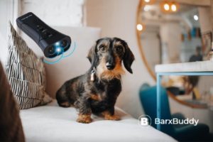 BarxBuddy Review - Transform your dog's behavior.