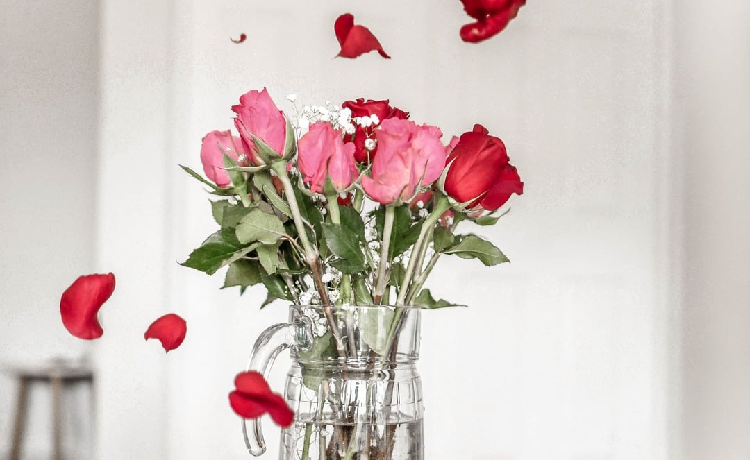 Red and pink roses in a vase