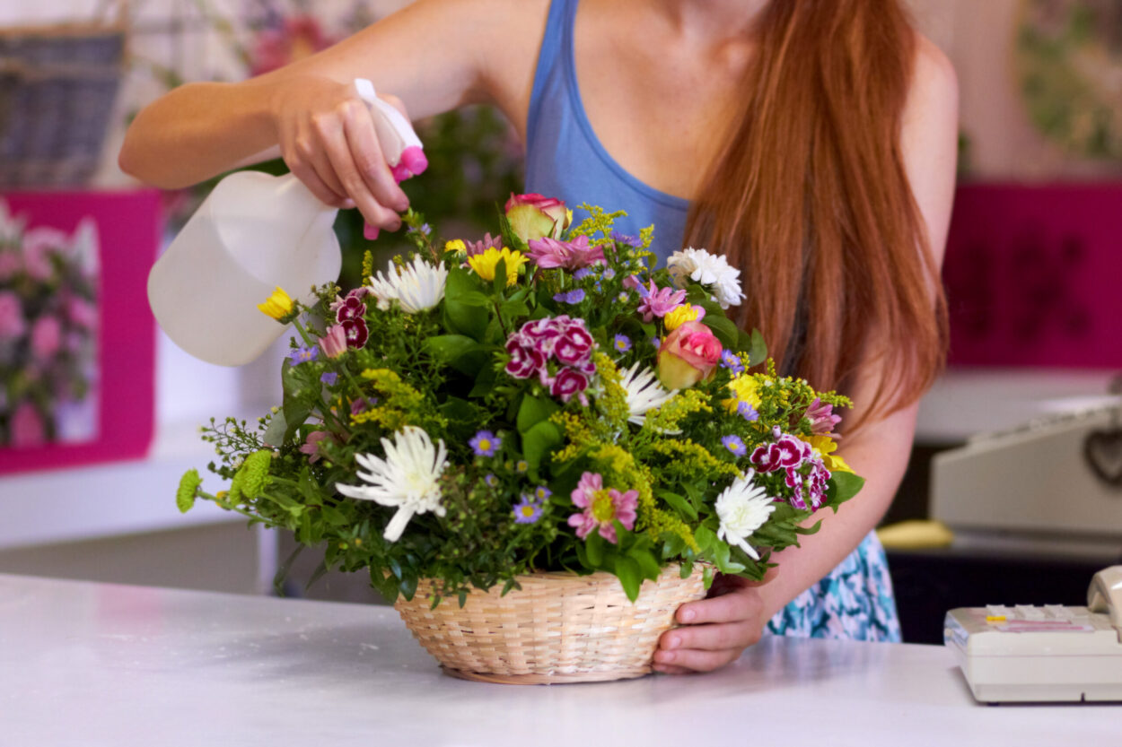 Indoor flower care